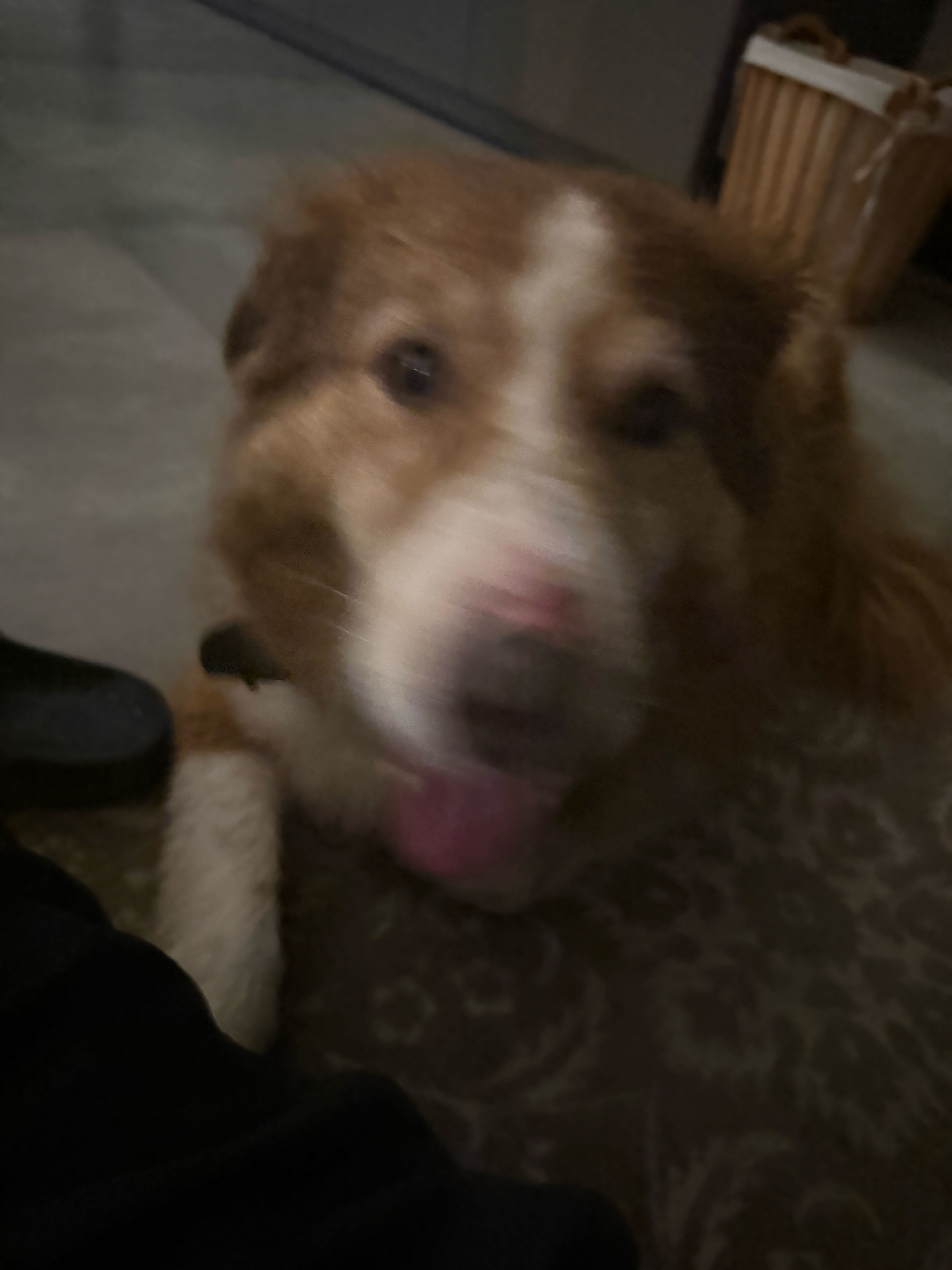 Luiz Gustavo Cordeiro Damiao Filho