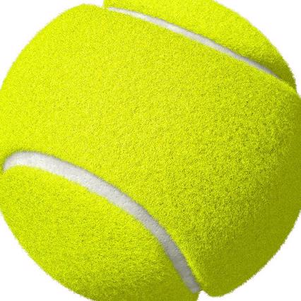 Daksheeth Rajapandian