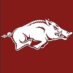 University of Arkansas