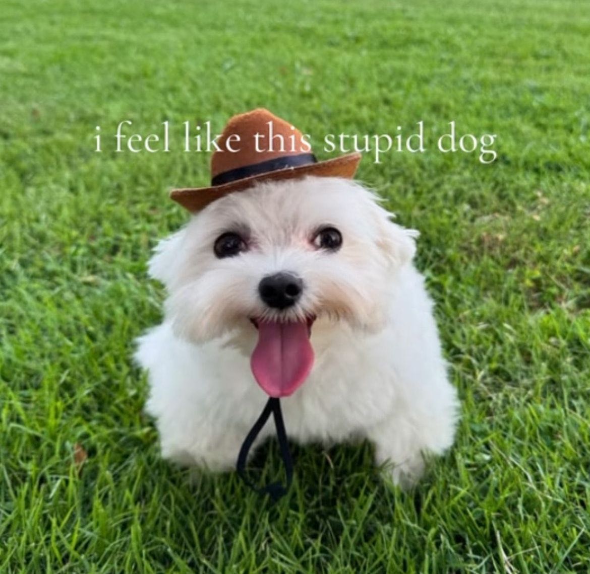 Christopher Velasquez