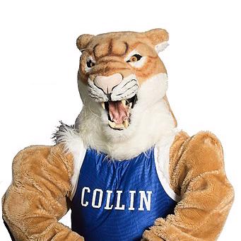 Collin College