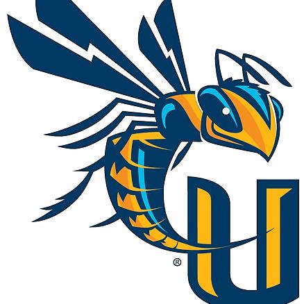 Cedarville University